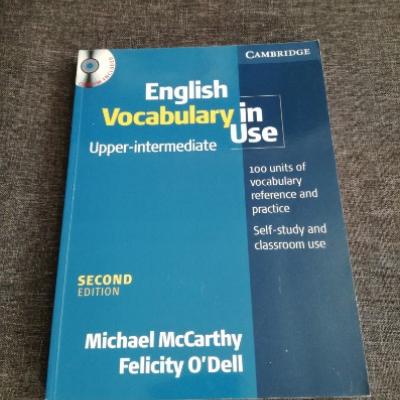 English Vocabulary in Use (McCarthy & O\'Dell) - thumb