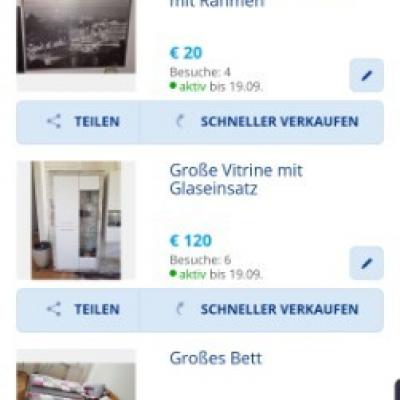 GESAMTE WOHNUNGSEINRICHTUNG - thumb