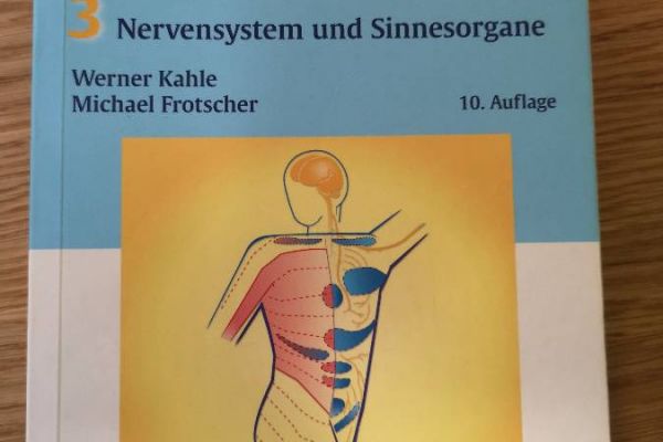 Anatomie - Nervensystem und Sinnesorgane