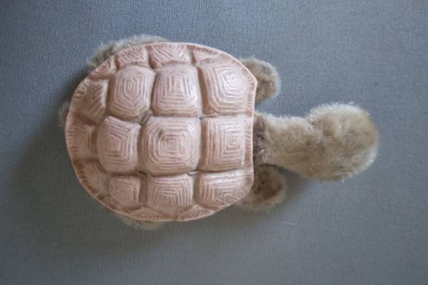Tier mit Herz, KLEINE Sammel Schildkröte Fa Berg  10/5cm FIXPREIS 20€
