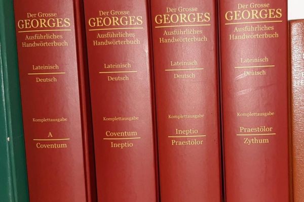 Der Große Georges (Reprint)