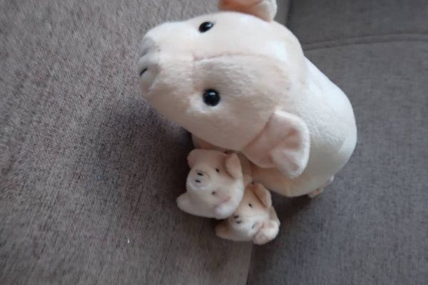 Stofftier Schweinchen Mutter mit 2 Kinder FIXPREIS 4.50€/SELBSTABHOLUN