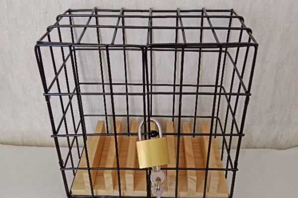 Handy Safe, mit absperrbaren Schloss und 2 Schlüssel, FIXPREIS 8€