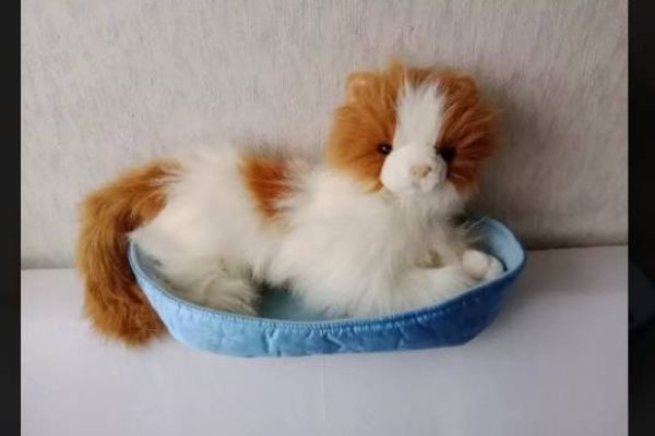 Stofftier Katze, ca 40cm, FIXPREIS 20€/NUR SELBSTABHOLUNG,23 Bez.