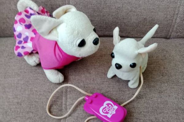 2 Teiliges Chihuahua Hunde Set, beide zusammen FIXPREIS 10€/NUR SELBST