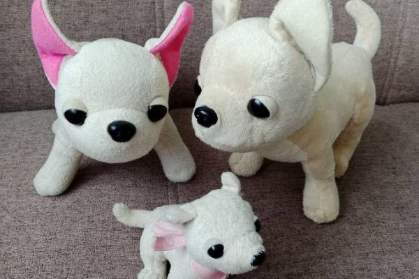 3 Teiliges Chihuahua Hunde Set, alle ZUSAMMEN FIXPREIS 12€ /NUR SELBST