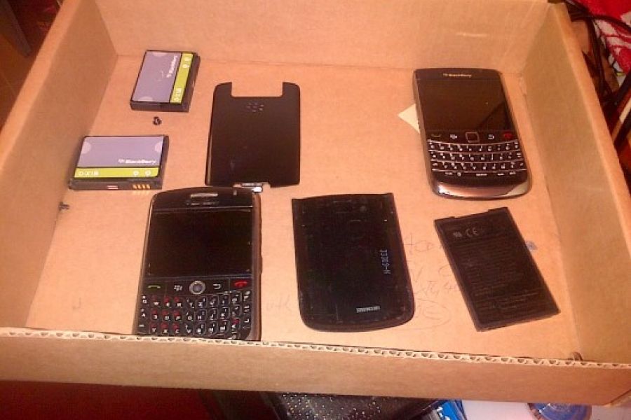 Blackberry Handies - Bild 1