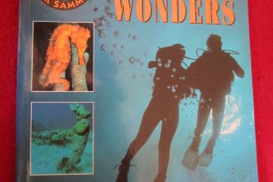Photographing Underwater Wonders - Bild 1