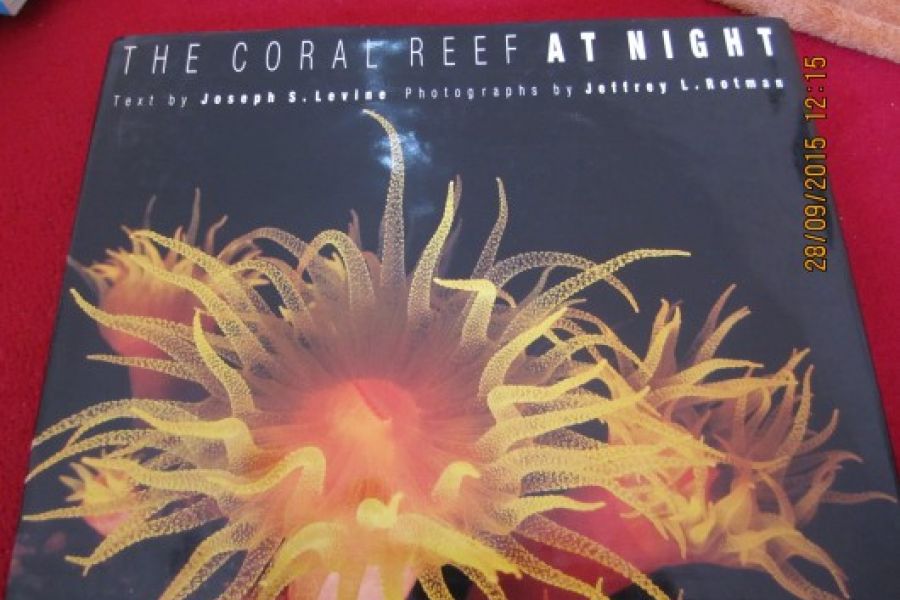 The Coral Reef at Night (Hardcover) - Bild 1