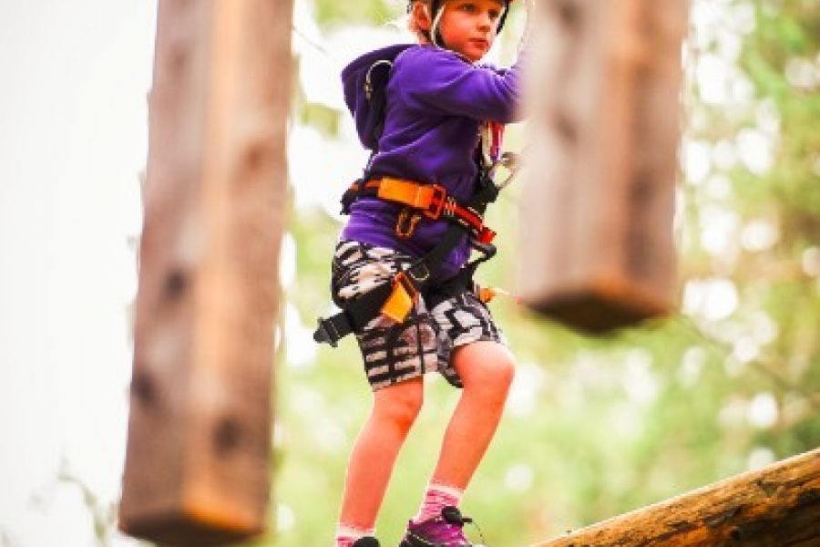 Betreuer im Abenteuerpark Achensee gesucht - Bild 1