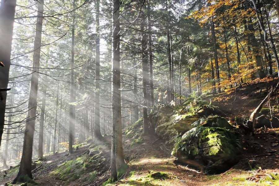 Wandern, Klettern, Zelten, Abenteuer draussen :D - Bild 1