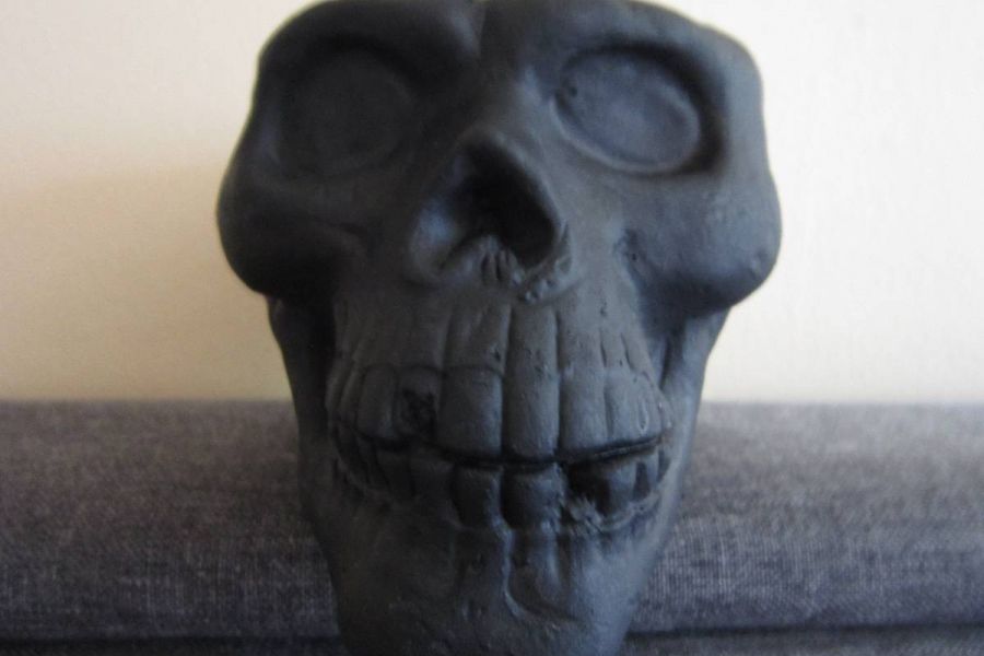 Totenkopf - Skull - Übertopf - Pflanzenschale - vielseitig verwendbar - Bild 3