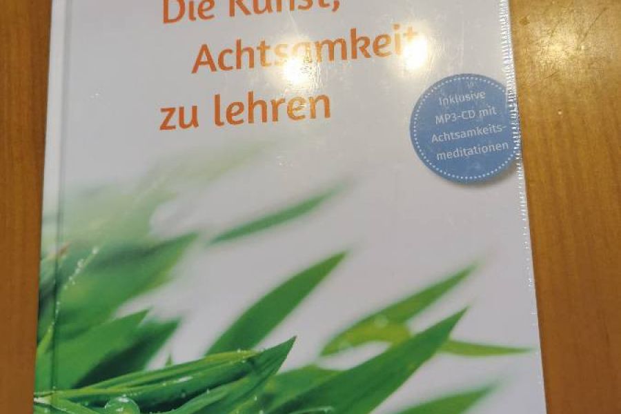 Die Kunst Achtsamkeit zu lehren - Bild 1