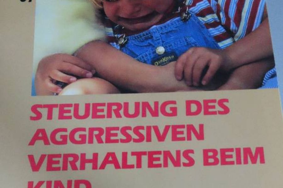 Steuerung des aggressiven Verhaltens beim Kind - Bild 1