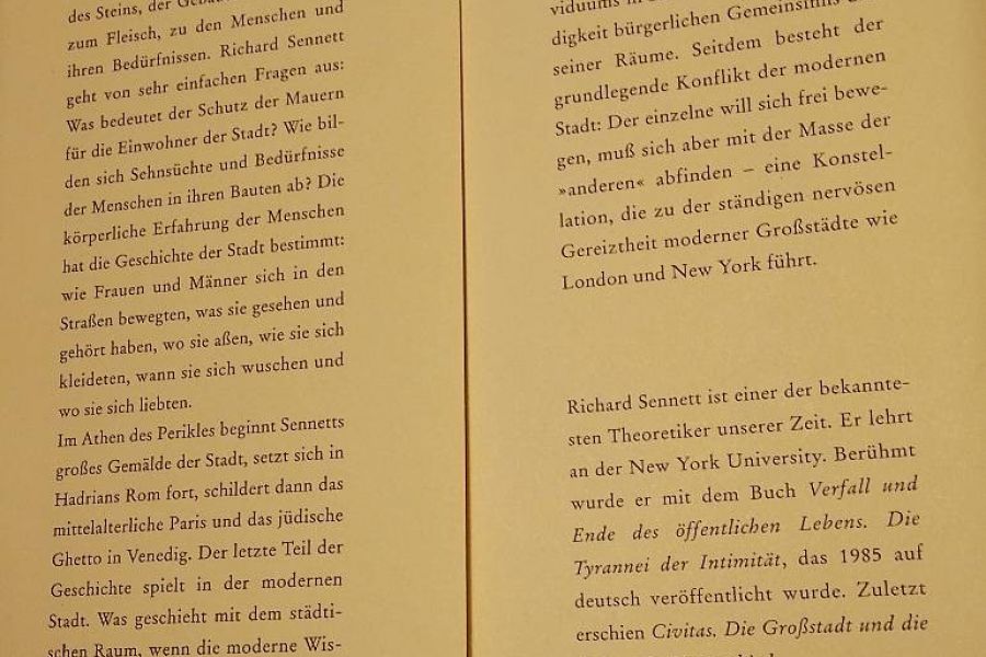 R. Sennett Fleisch und Stein - Bild 1