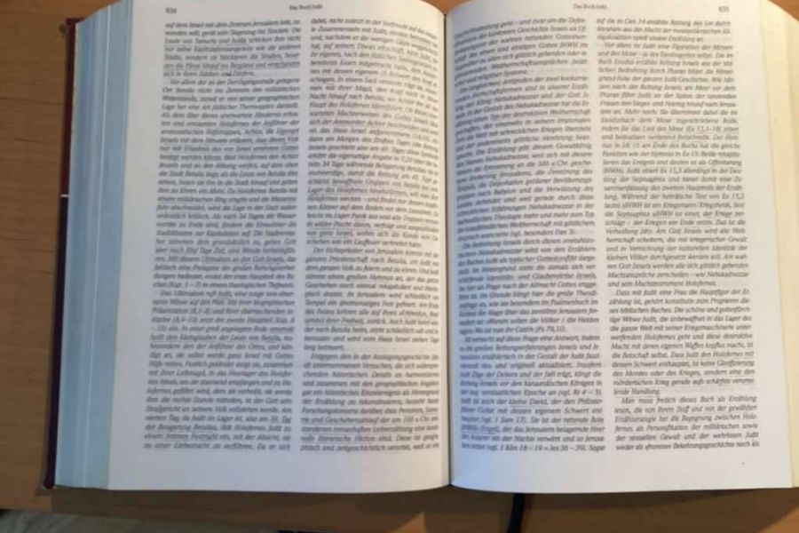 Erich Zenger: Stuttgarter Altes Testament. Einheitsübersetzung mit Kom - Bild 2