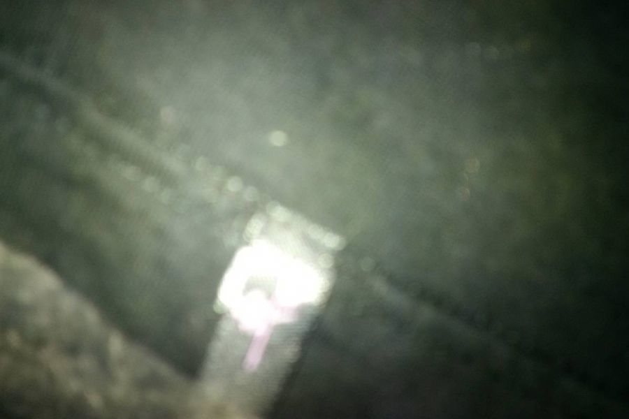Damenshirt in Gr. 34 Model Cof W - Bild 2
