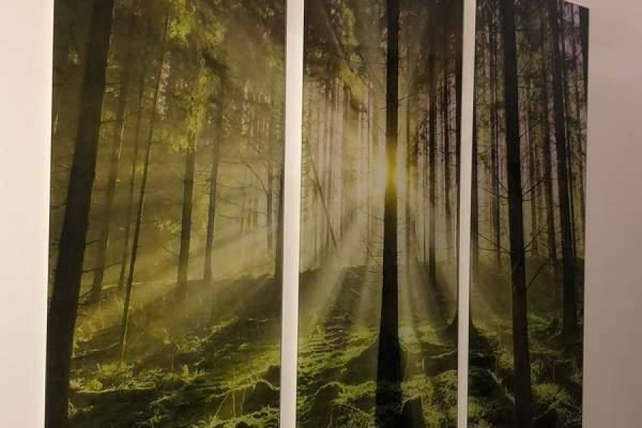 Wandbild 3 teilig - Wald / Sonne - Bild 1