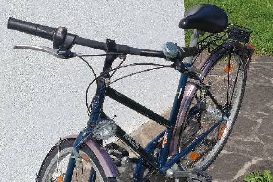 HERCULES Magnum Trekking Bike für Damen im Top Zustand und mit Service - Bild 3