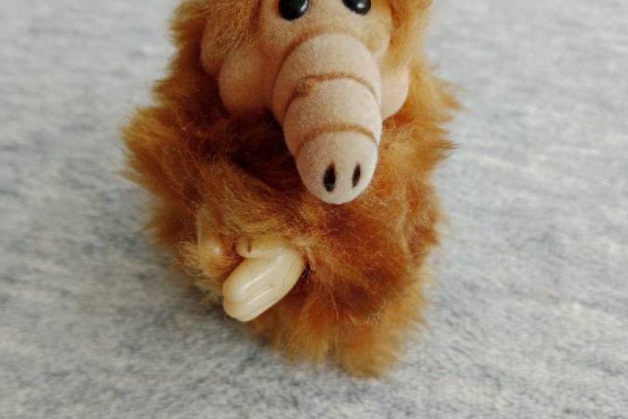 KLEINER Klammer Alf, ca 10cm, FIXPREIS 10€/NUR SELBSTABHOLUNG - Bild 3