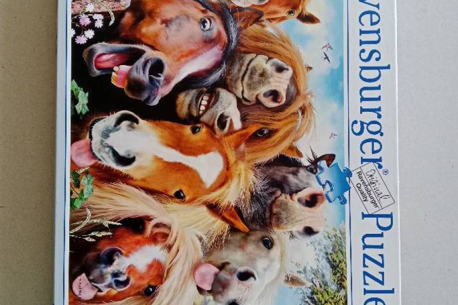 Ravensburger Puzzle 500 Teile FIXPREIS 5 €/NUR SELBSTABHOLUNG,23 Bez. - Bild 1