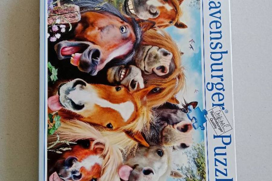 Ravensburger Puzzle 500 Teile FIXPREIS 5 €/NUR SELBSTABHOLUNG,23 Bez. - Bild 3