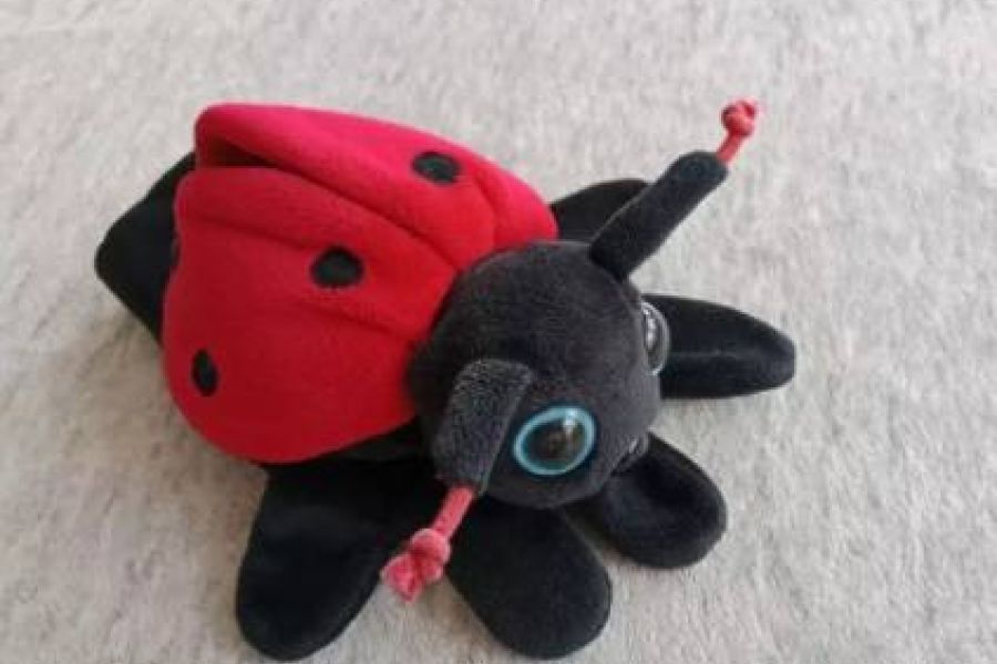 Handpuppe Marienkäfer, FIXPREIS 6€/NUR SELBSTABHOLUNG,23 Bez. KEIN Ver - Bild 1