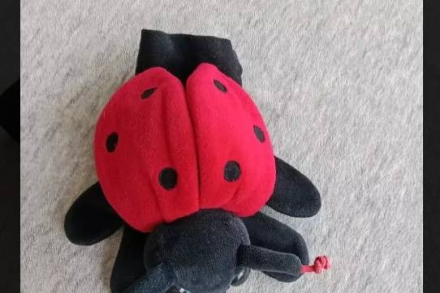 Handpuppe Marienkäfer, FIXPREIS 6€/NUR SELBSTABHOLUNG,23 Bez. KEIN Ver - Bild 2