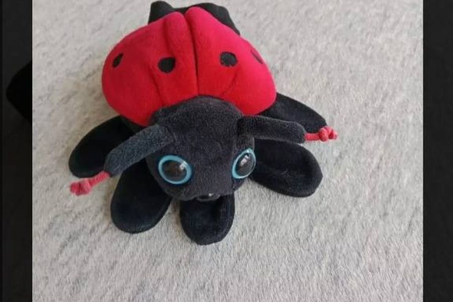 Handpuppe Marienkäfer, FIXPREIS 6€/NUR SELBSTABHOLUNG,23 Bez. KEIN Ver - Bild 3