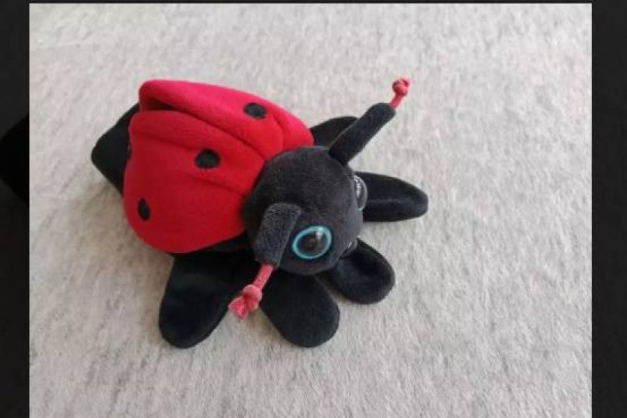 Handpuppe Marienkäfer, FIXPREIS 6€/NUR SELBSTABHOLUNG,23 Bez. KEIN Ver - Bild 4
