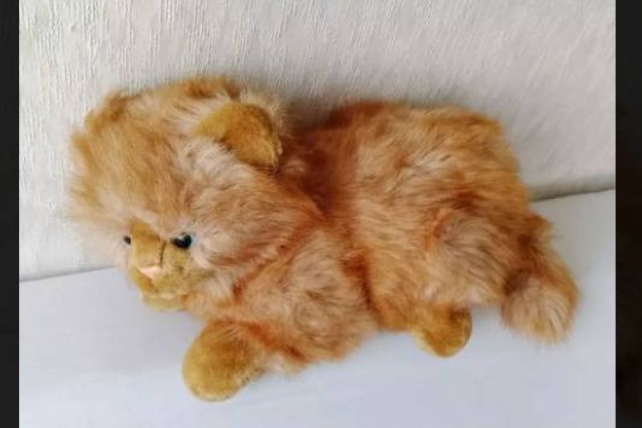 Stofftier Katze ca 34cm, FIXPREIS 20€/NUR SELBSTABHOLUNG 23 Bezirk - Bild 2