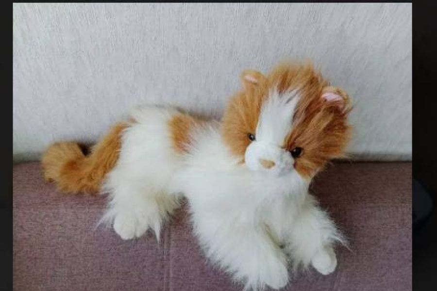 Stofftier Katze, ca 40cm, FIXPREIS 20€/NUR SELBSTABHOLUNG,23 Bez. - Bild 4