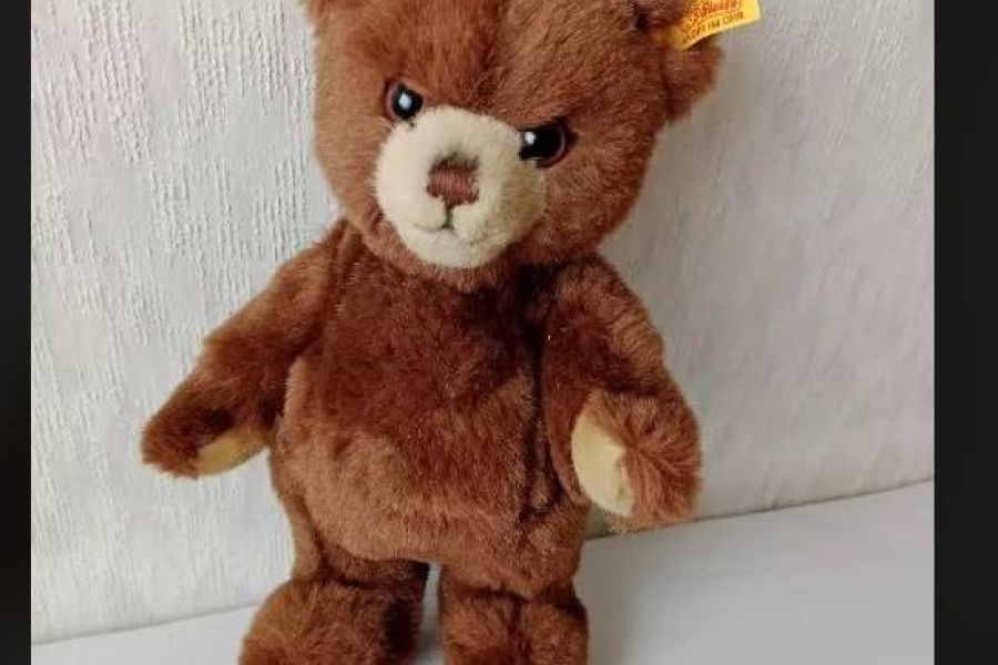 Steiff Stofftier Bär Petsy, ca 27cm FIXPREIS 25€/NUR SELBSTABHOLUNG - Bild 1