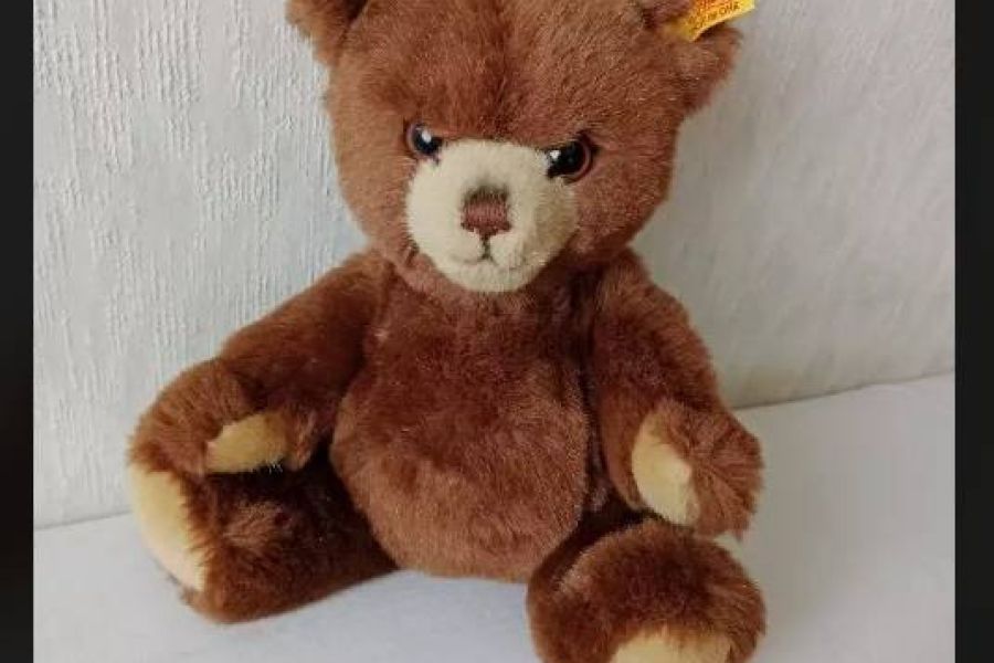 Steiff Stofftier Bär Petsy, ca 27cm FIXPREIS 25€/NUR SELBSTABHOLUNG - Bild 2