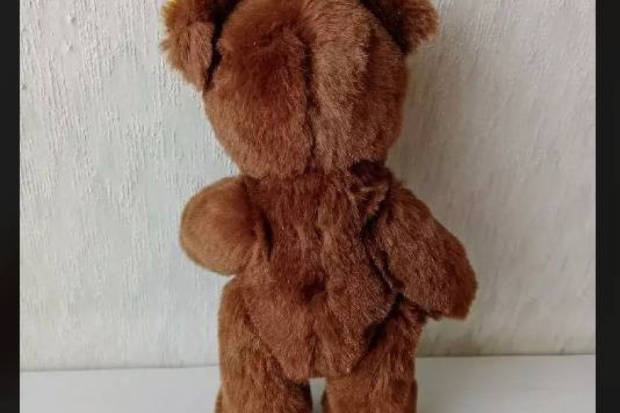 Steiff Stofftier Bär Petsy, ca 27cm FIXPREIS 25€/NUR SELBSTABHOLUNG - Bild 3