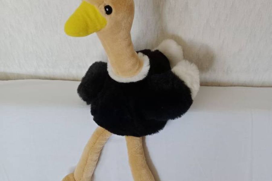 Große Handpuppe /Therapiepuppe Vogelstrauß, von Kopf bis Fussende 50cm - Bild 1