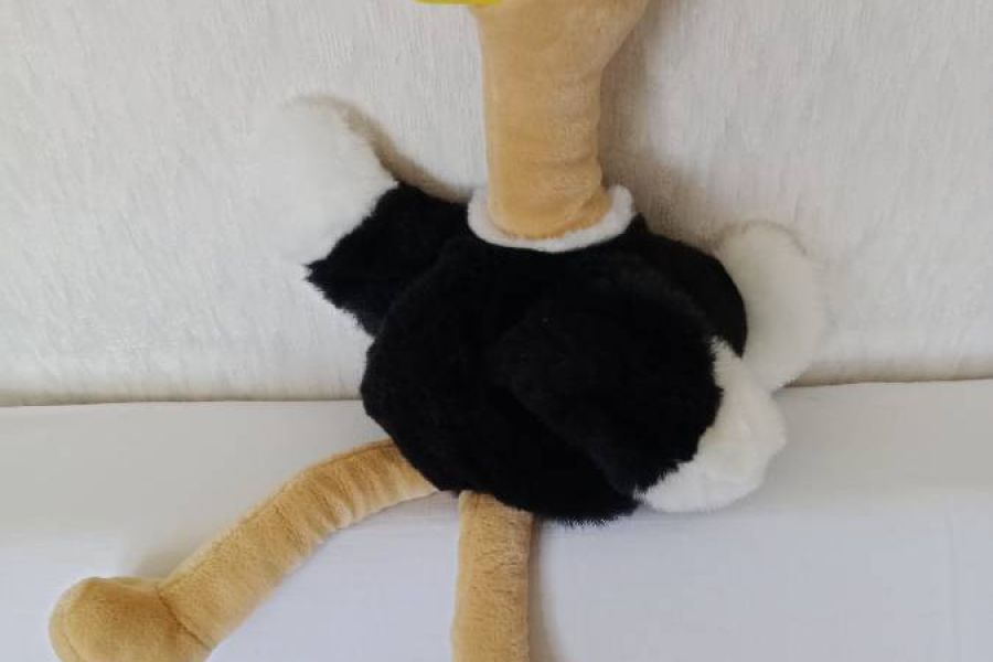 Große Handpuppe /Therapiepuppe Vogelstrauß, von Kopf bis Fussende 50cm - Bild 3