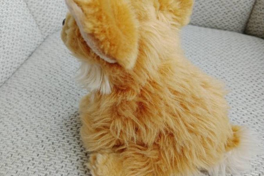 Chihuahua Stofftier, flauschiger Plüsch, FIXPREIS 10€ - Bild 2