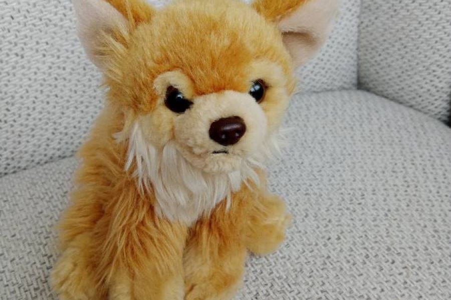 Chihuahua Stofftier, flauschiger Plüsch, FIXPREIS 10€ - Bild 1